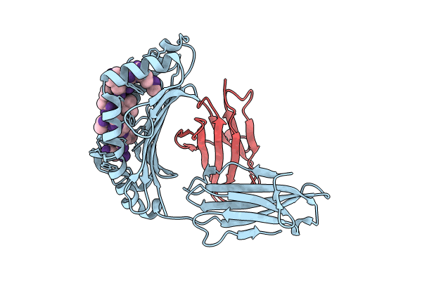 8XES image