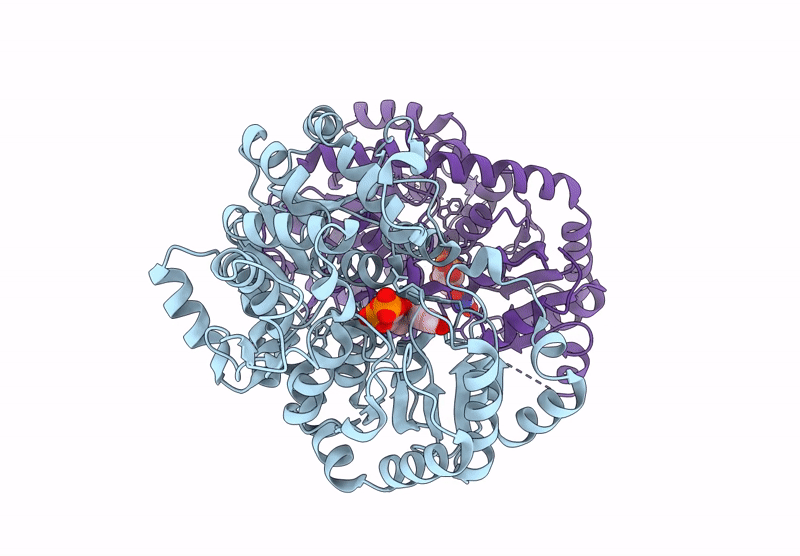 8XFH image
