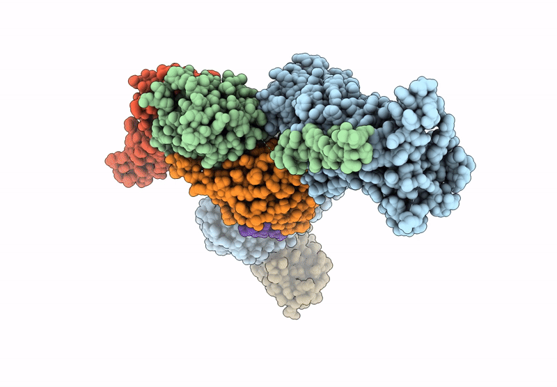 8XFP image