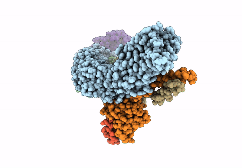 8XFS image