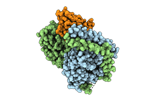 8XGR image