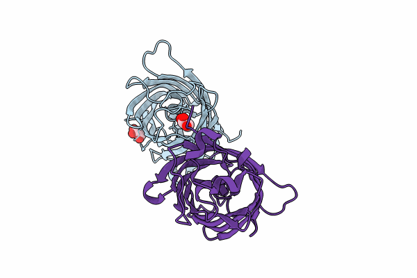 8XH2 image