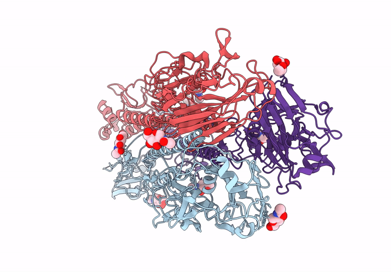 8XHF image