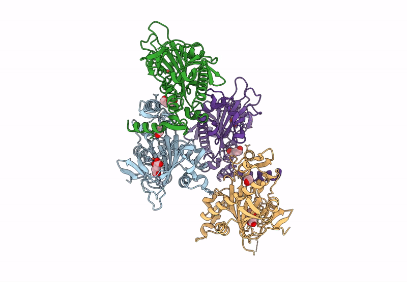 8XHT image