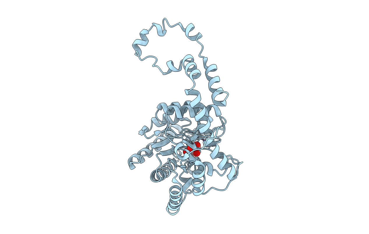 8XIA image