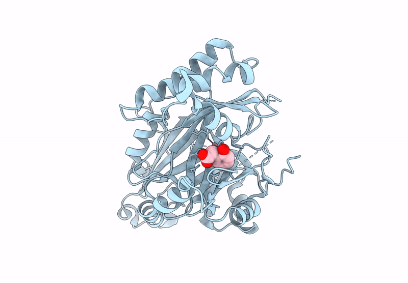 8XIB image