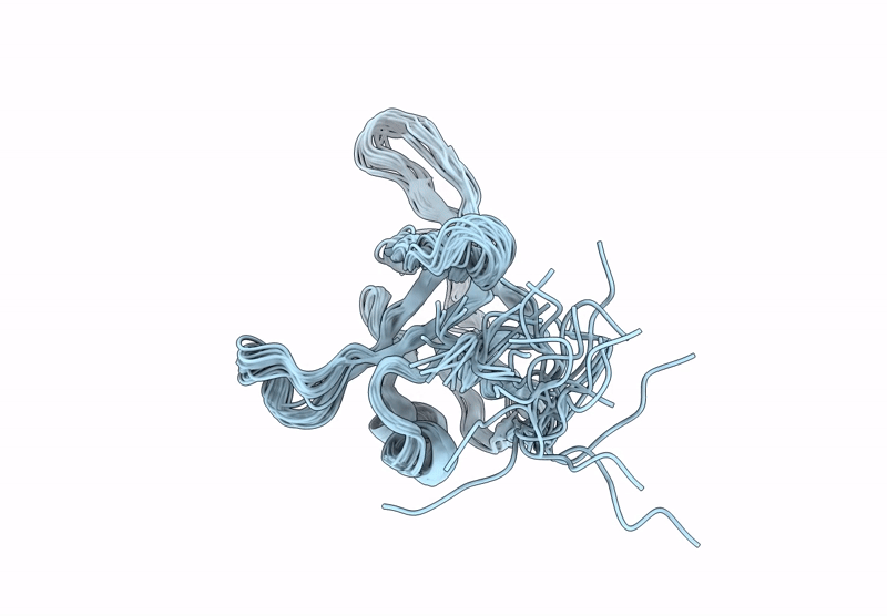 8XID image
