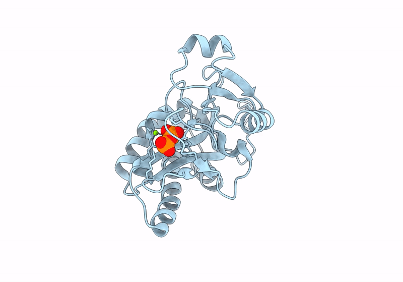 8XIF image