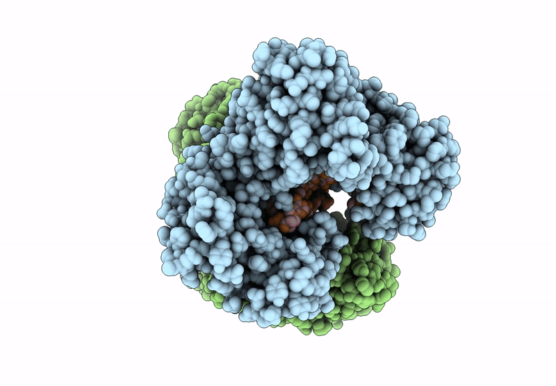 8XIH image