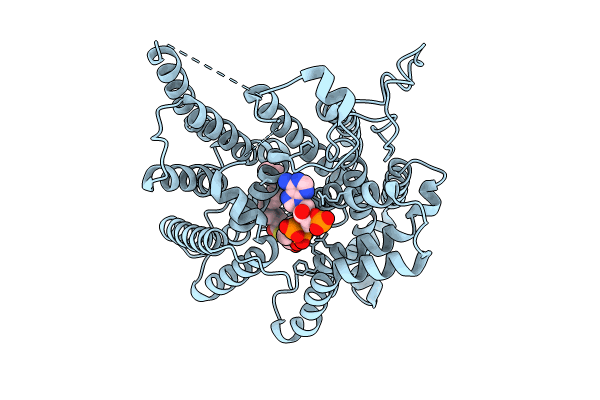 8XIJ image