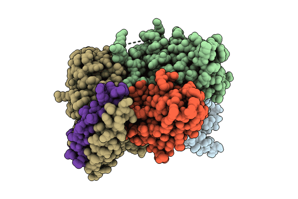 8XIP image