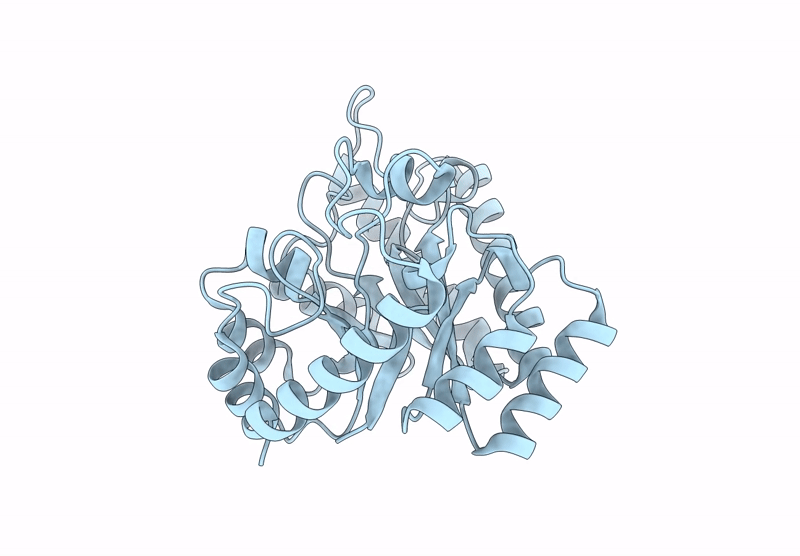 8XIX image