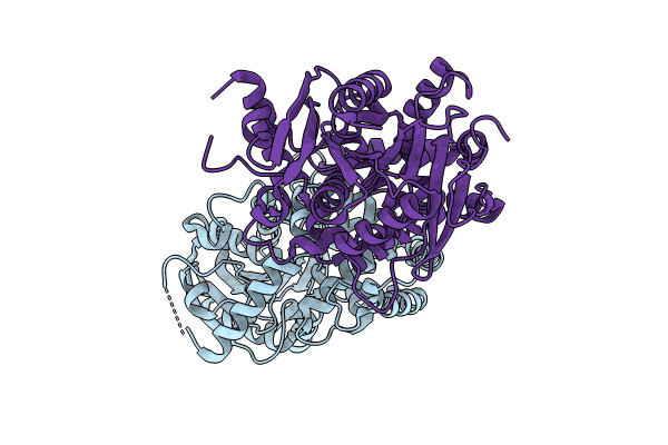 8XIZ image