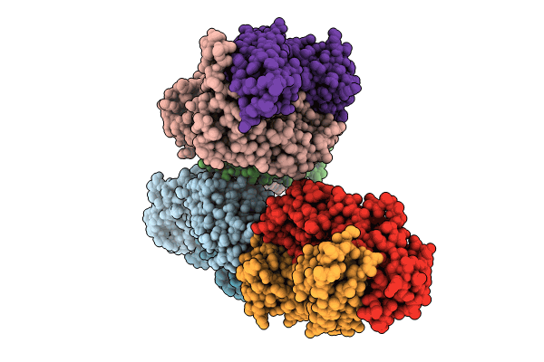 8XJ0 image