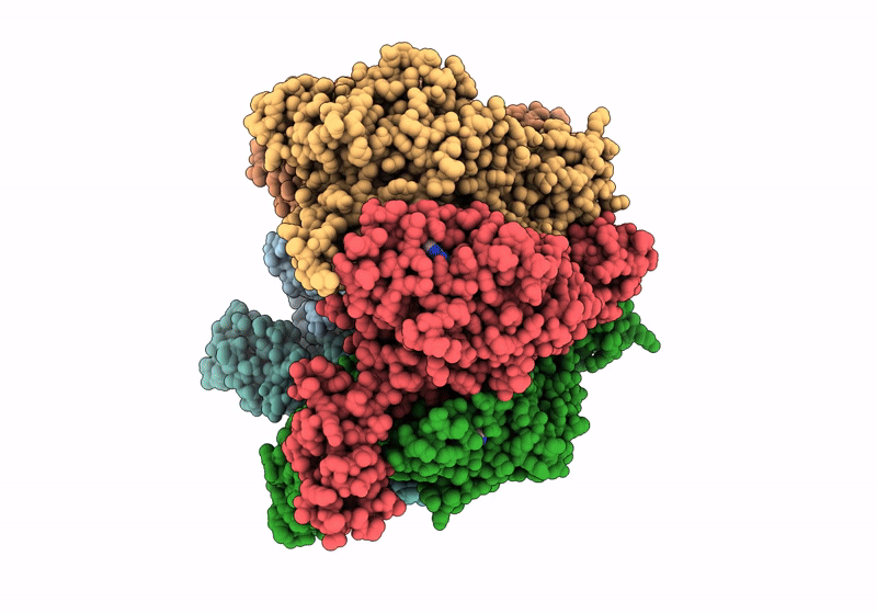 8XJ7 image