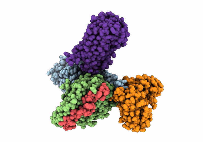 8XJM image