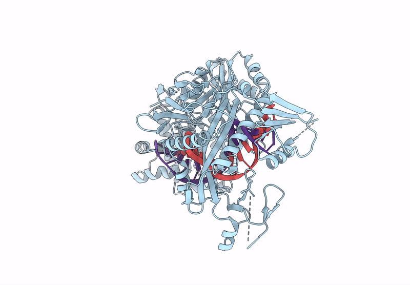 8XJW image