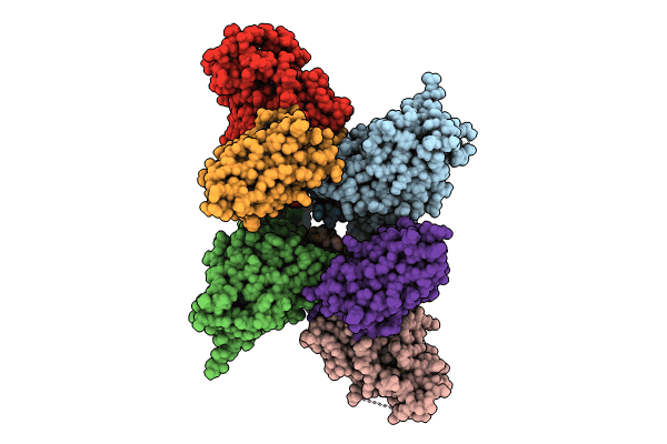 8XK2 image