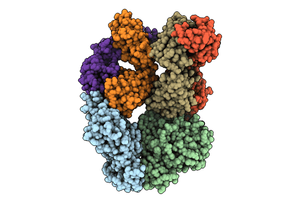 8XK8 image