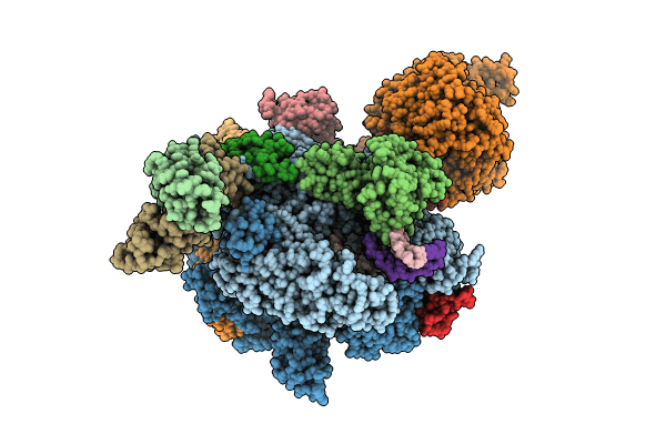 8XMC image