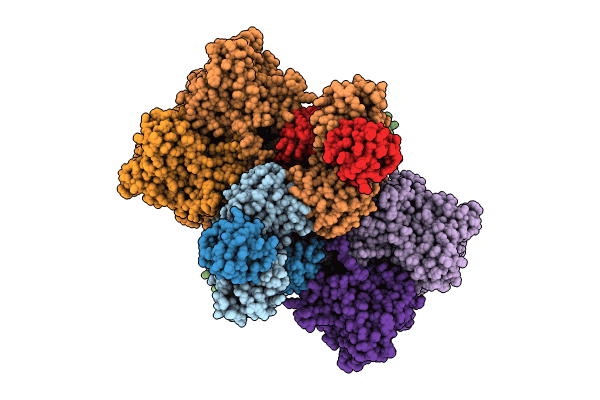 8XMI image