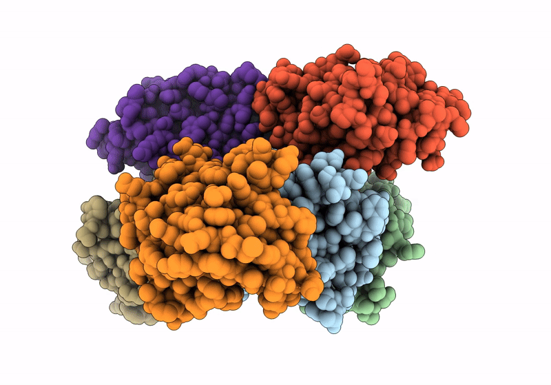 8XMS image
