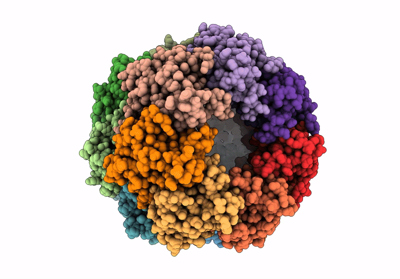 8XN4 image