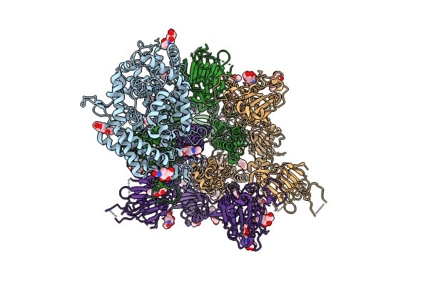 8XNF image