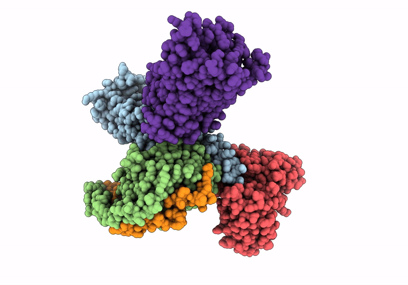 8XOH image