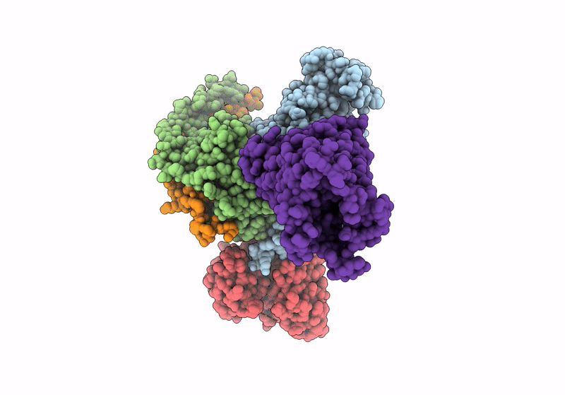 8XOJ image