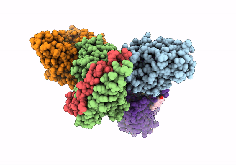 8XOS image