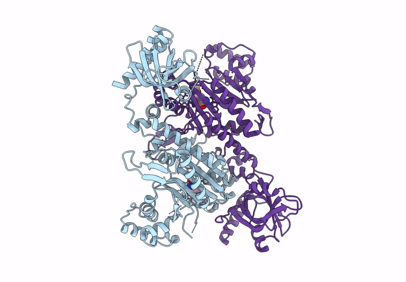 8XP4 image