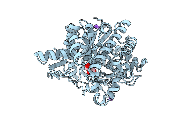 8XPD image