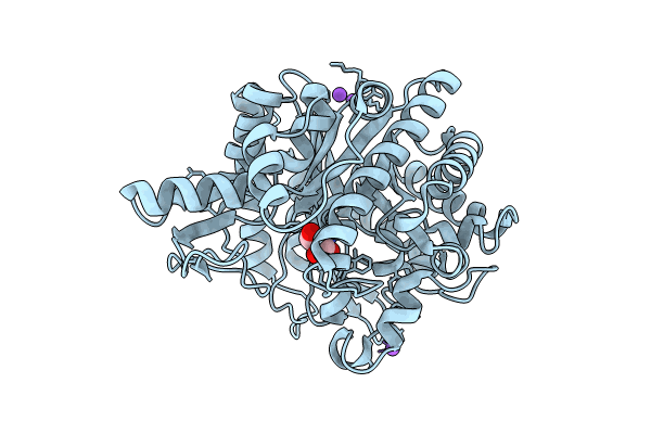 8XPE image