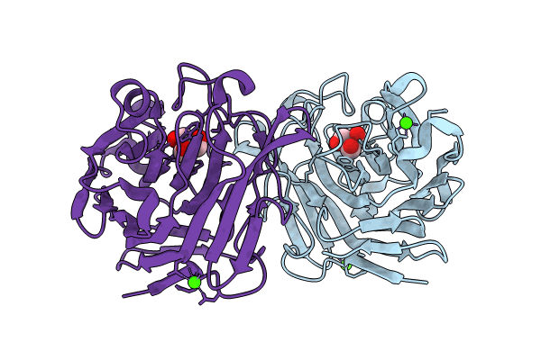 8XPH image