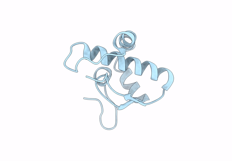 8XPI image