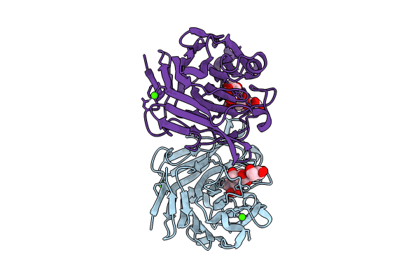 8XPK image