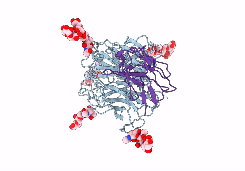 8XPS image
