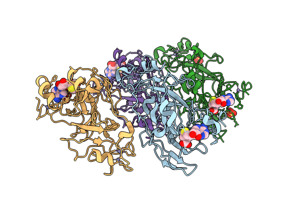 8XPT image