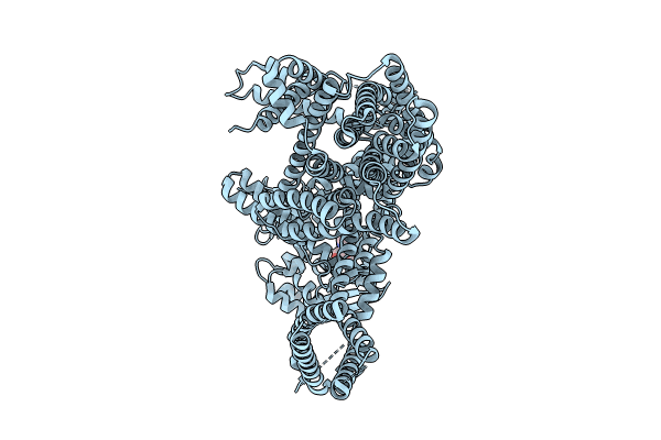 8XQ8 image