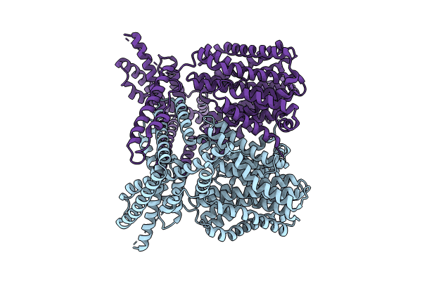 8XQA image