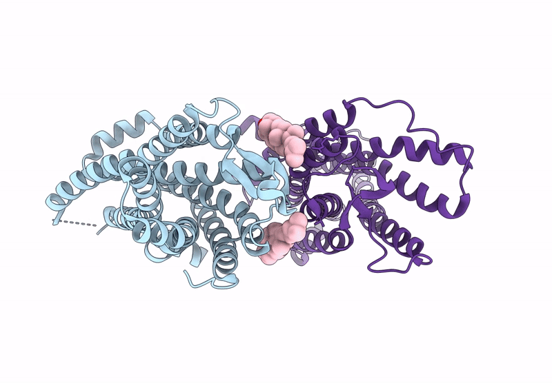 8XQI image