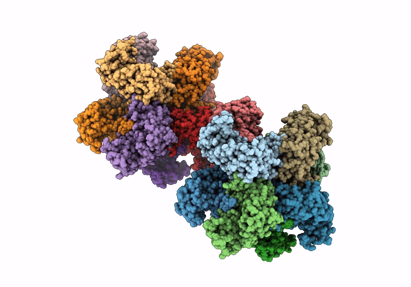8XR2 image