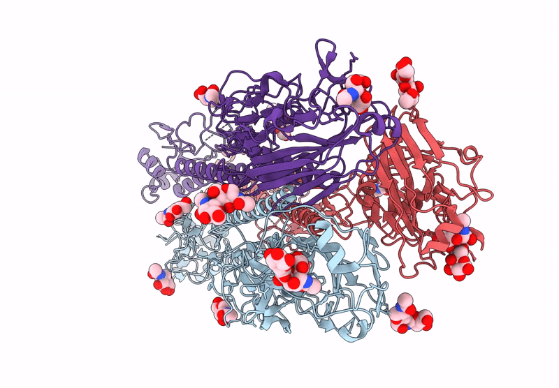 8XRD image
