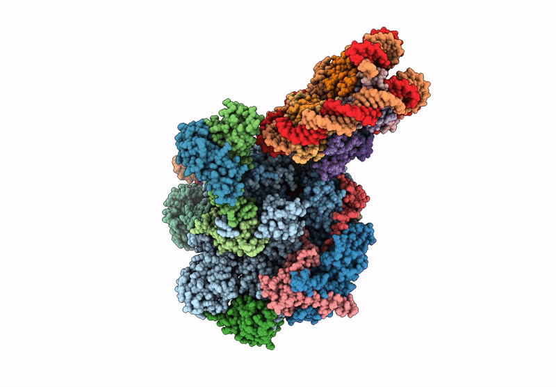 8XRJ image