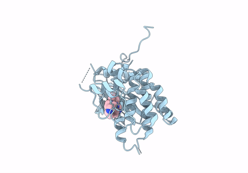 8XRR image