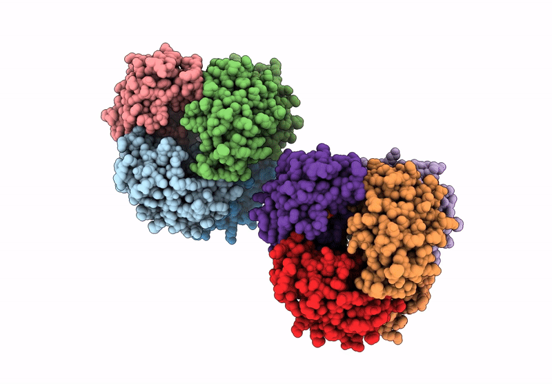 8XRW image