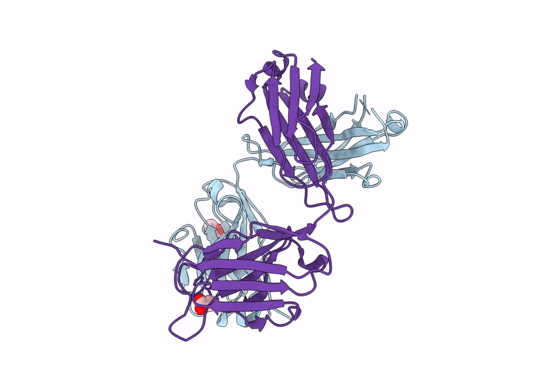8XS2 image