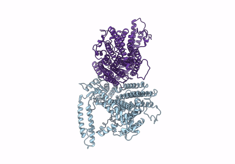 8XS4 image
