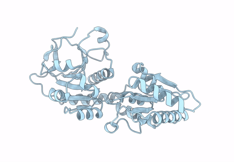 8XSH image